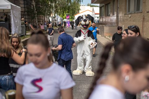 Foto ze Seznam Festu 384