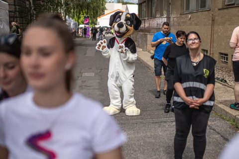 Foto ze Seznam Festu 386